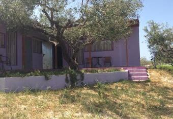 Alex s Studio has Balcony rooms