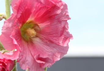 Studio Art-hill allows 18 year olds to book a room