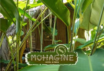 Mohagine Hotel has Balcony rooms