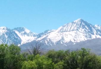 Starlight Motel allows 18 year olds to book a room