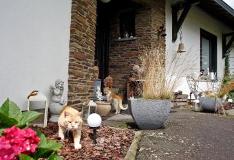 B&B Au Coq en Pate allows 18 year olds to book a room