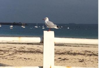 New Port has Balcony rooms