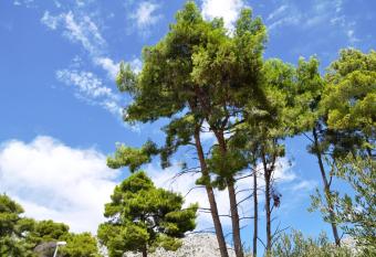 Apartments Lancek has Balcony rooms