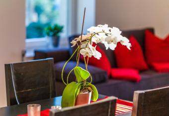 Apartment Zittera - Adults only has Balcony rooms