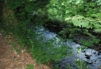 Albergue Casa Txakainlo allows 18 year olds to book a room