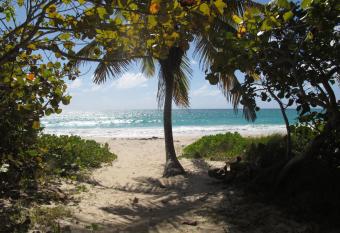 Esperanza Inn Guesthouse allows 18 year olds to book a room