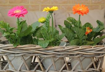 Bosbeekvallei has Balcony rooms