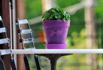 Mellia has Balcony rooms