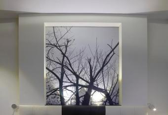 Hotel Campoamor allows 18 year olds to book a room