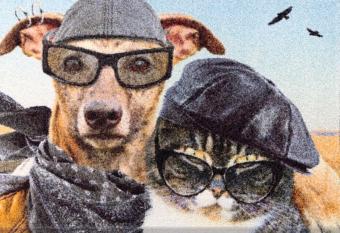 Apartement Endla allows 18 year olds to book a room