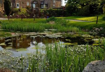 Grains Bar Hotel has Balcony rooms