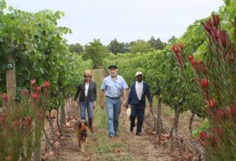Belfield Wines and Farm Cottages allows 18 year olds to book a room