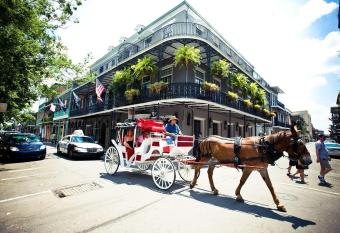 Hotel Royal New Orleans has Balcony rooms