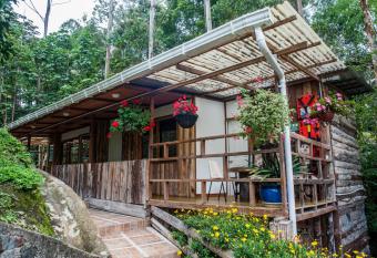 Hotel Selva Verde has Balcony rooms