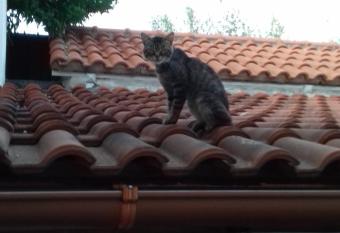 Casa De Falco has Balcony rooms