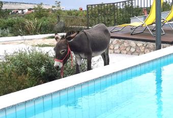 Villa Suzi Donkey farm with seaview has Balcony rooms