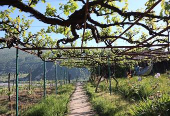 Chateau Dio has Balcony rooms