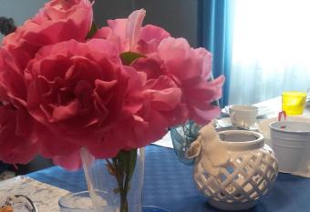 B&B Smile has Balcony rooms