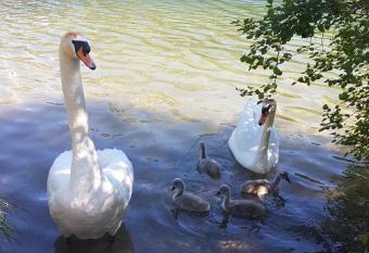 Casa Patrizia has Balcony rooms