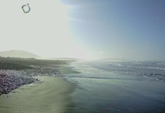 Ponderosa B&B allows 18 year olds to book a room