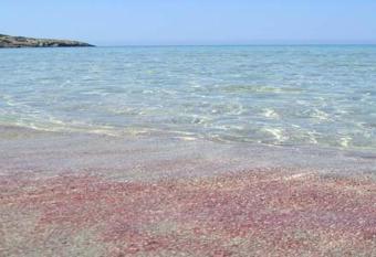 Affittacamere la Medusa allows 18 year olds to book a room