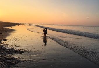 Au gr   du vent has Balcony rooms