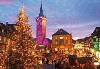 Les Appartements d Alicia allows 18 year olds to book a room