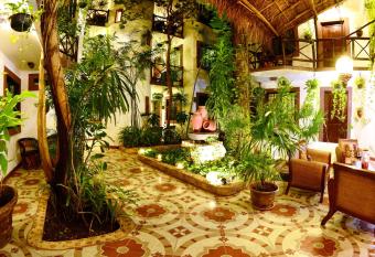 Posada Mariposa Boutique Hotel - 5th Avenue has rooms with a private hot tub