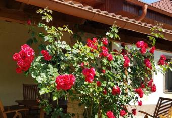 Balassi apartment allows 18 year olds to book a room