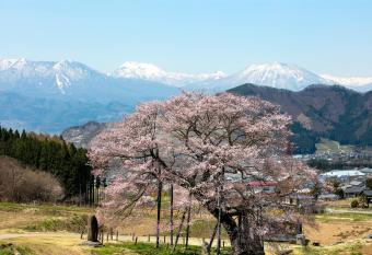Ryokan Warabino has Balcony rooms