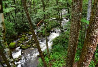 The Owl's Perch has Balcony rooms