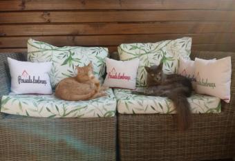 Pousada Lembran  a has Balcony rooms