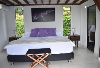 Hotel Syvanna Wellness and Spa has Balcony rooms