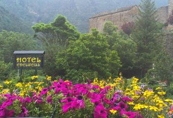 Edelweiss Hotel has Balcony rooms
