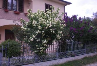 Il Castellare has Balcony rooms