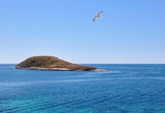 Hotel Florida Magaluf - Adults Only allows 18 year olds to book a room