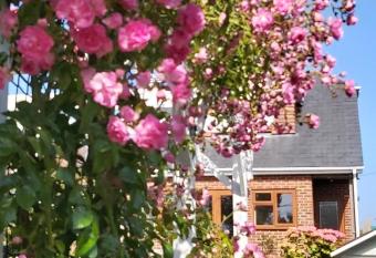 The Gem allows 18 year olds to book a room