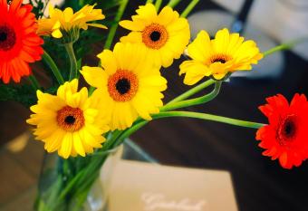 Hotel Neufeld allows 18 year olds to book a room