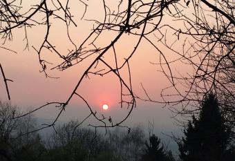La Bella Dormiente B&B has Balcony rooms
