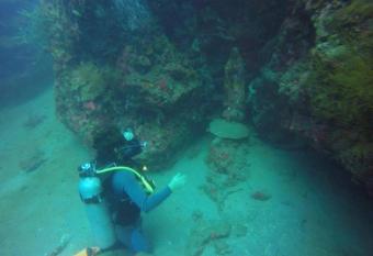 Anilao Scuba Dive Center (ASDC) allows 18 year olds to book a room