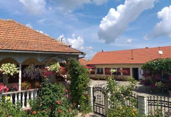 La Mosu-n Retezat has Balcony rooms