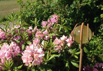 Ruheparadies Im Windfeld has Balcony rooms