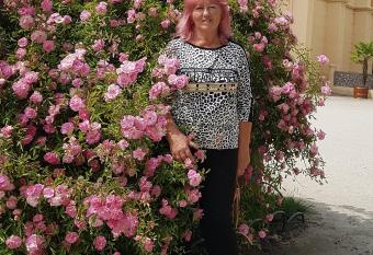 Ubytov  n   nad skl  pkem has Balcony rooms