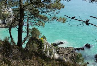 Ty Kozh De L aber allows 18 year olds to book a room