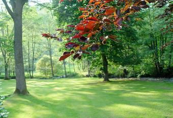 Moulin de Daverdisse allows 18 year olds to book a room