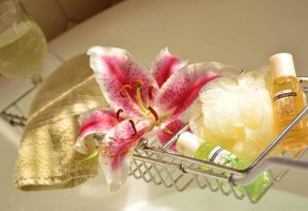 Manayunk Chambers Guest House has Balcony rooms