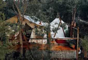 Wingtons Glamping has Balcony rooms