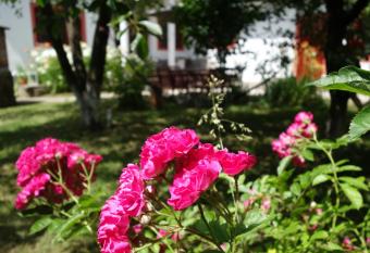 Pensiunea Deceneu has Balcony rooms