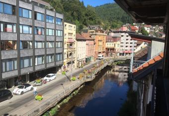 Ferienwohnung im Herzen Bad Wildbads has Balcony rooms