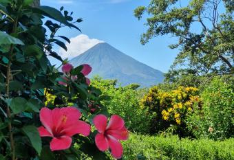 El Encanto Garden Hotel has Balcony rooms